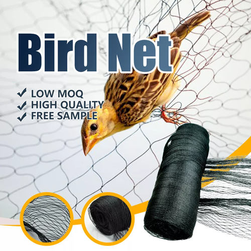 Welcome To Star Bird Net Solution